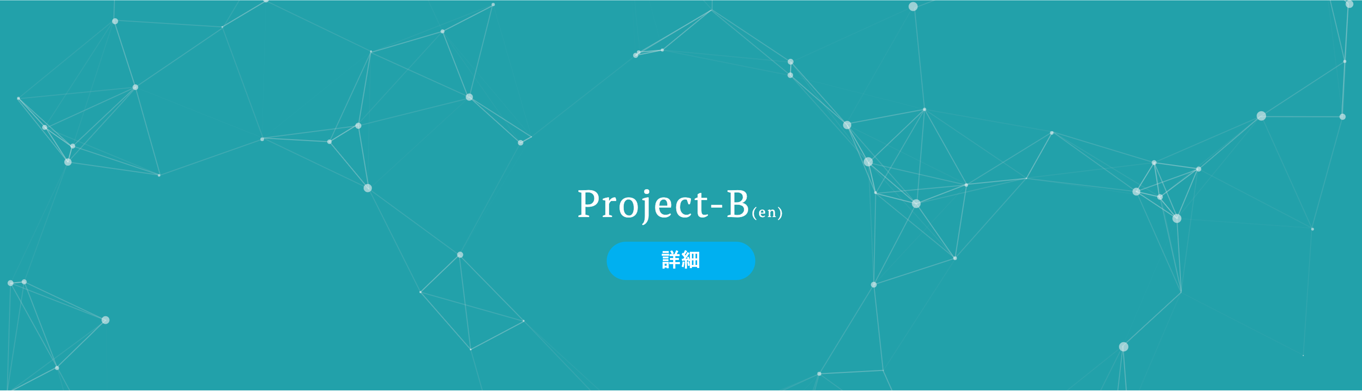 project-b